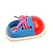 rongweiwang Colore Casuale Bambini Giocattoli educativi dei Bambini Giocattoli di Legno Bambino di Allacciatura Scarpe precoce educazione Sussidi didattici