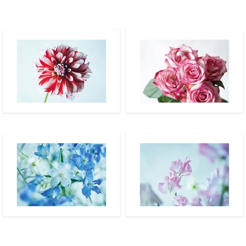 Fragsphere ʂ Ԃ̃|X^[ HANASUGATAV[Y 4Zbg _A o ftBjE XC[gs[ ] A4TCY 210×297mm { t[Ȃ^Cv CeA FWMS-001A