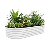 A ANLEOLIFE Jardineras elevadas galvanizadas de 8 x 4 x 1.5 pies para exteriores, color