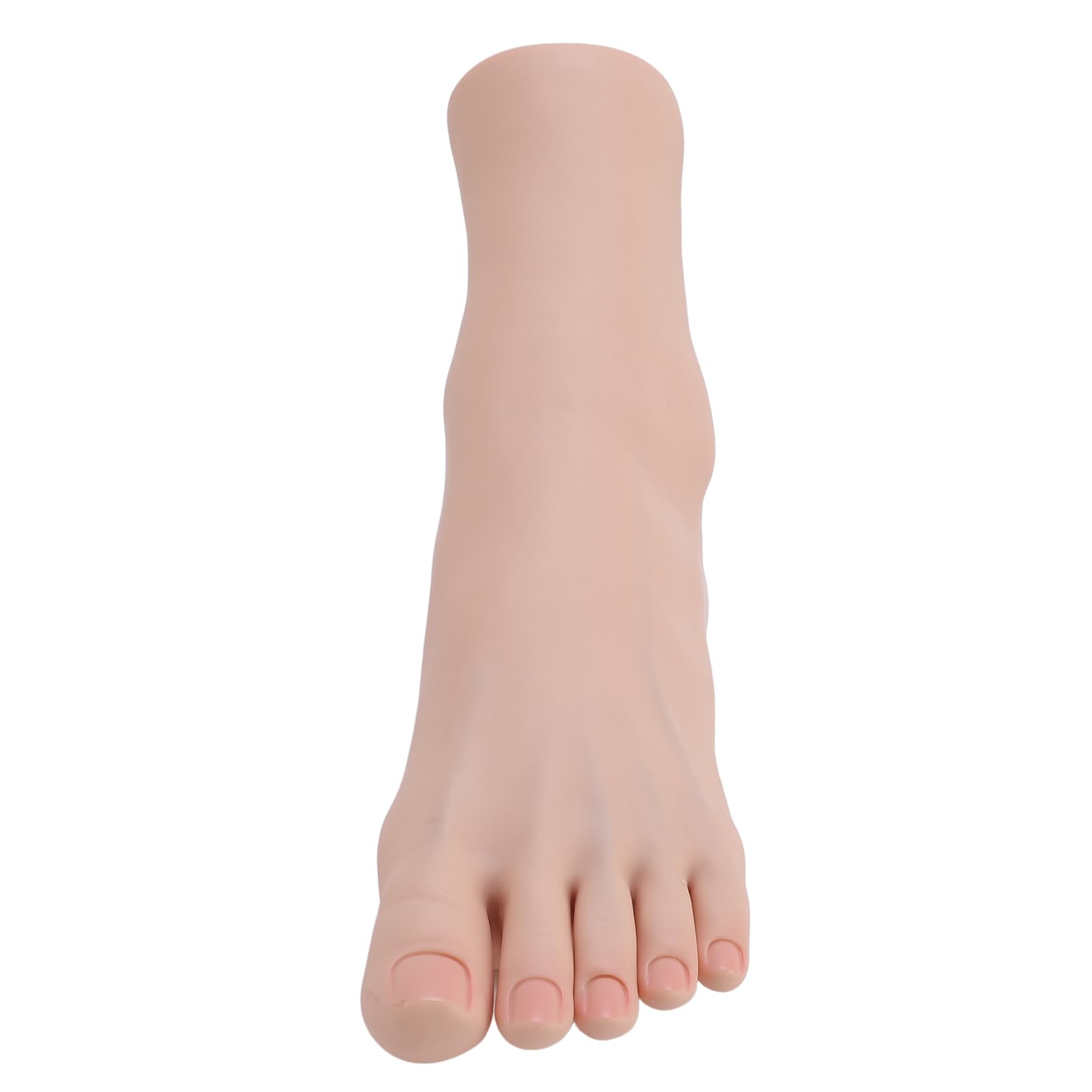 Manichino del Piede in Silicone con Strutture Muscolari e Ossee Realistiche