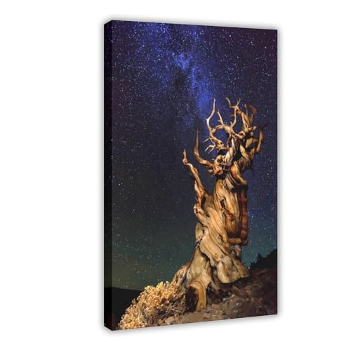 Weltraumfotos Bristlecone Pine Leinwandposter Wandkunst Dekor Druck Bild Gemälde für Wohnzimmer Schlafzimmer Dekoration Rahmen: 60 x 90 cm