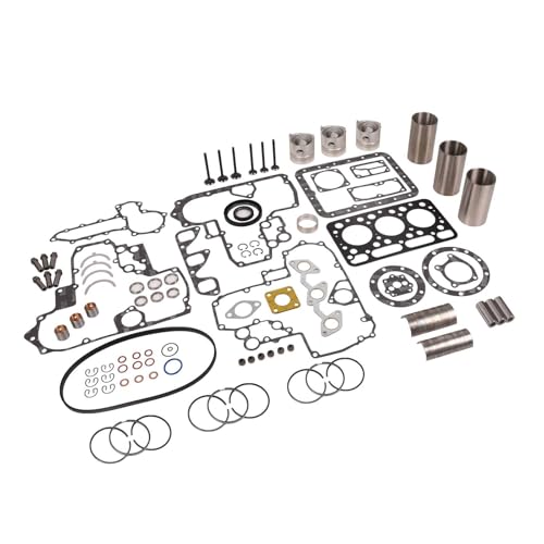 Engine STD Overhaul Rebuild Kit DH1101