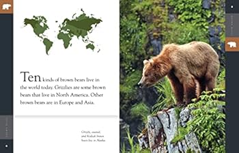 Paperback Amazing Animals: Brown Bears Book
