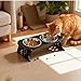 Tressify 10° Tilted Stainless Steel Cat Bowls, Double Foldable Bowls, Elevated Food/Water Dishes, Carbon Steel, Black, 12.4 X 5.3 X 3.4 in / 31.5 X 13.5 X 8.7 Cm