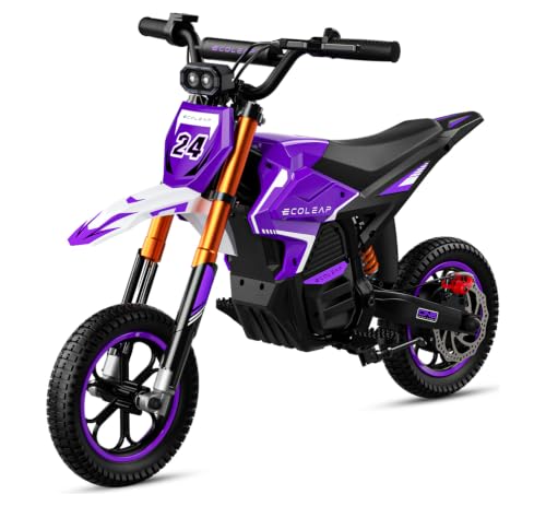 ECOLEAP K2 Electric Dirt Bike