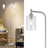 DLLT Floor Lamp Tall for Room: Nickel Standing Lamp with Clear Glass Lampshade for Living Room - Modern Bright Lamp for Bedroom - Industrial Corner Floor Lamps for Office 8W Led Bulb Included