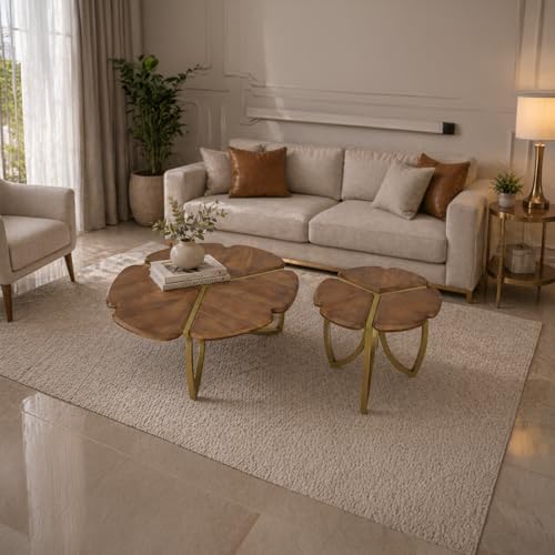 Image of The Attic Roselle Coffee Table, Coffee Table for Living Room, Teak & Gold Finish