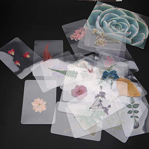 Mix de hojas prensadas naturales secas para joyería con resina miniatura 5