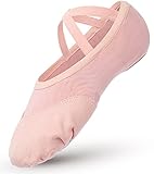 Aiseyi Ballettschuhe Mädchen Balettschlappen Kinder Dehnbar Ballettschläppchen Spaltleder Sohle Tanzschuhe Canvas Mesh Splicing Ballet Schuhe Damen Balerinaschuhe Gymnastikschuhe Rosa 30