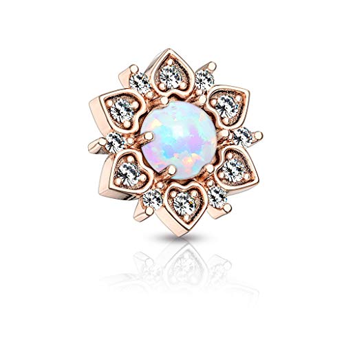 Paula & Fritz Femme Homme Enfant Mixte Acier Blanc Transparent Opale synthétique Cover