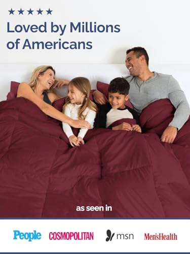 Image of Queen Size, Burgundy Alternative Down Comforter - Warm, Lightweight & Breathable Hotel Quality Bedding Set for Men, Women, Kids & Teens - All Season Oversized Cooling Microfiber Duvet Insert Comforter
