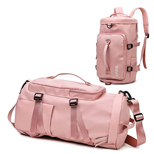 I quited the blog: Because it does not make money (Japanese Edition)