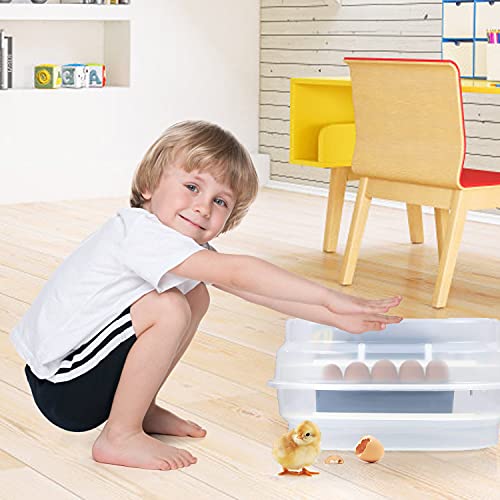 Automatischer Eierinkubator, Automatischer digitaler Inkubator für 12 Eier, Intelligente und präzise Temperatur- und… – Bild 6