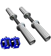 NEXO Fitness Olympic Loadable Dumbbell Pair Includes Two Sets of Blue Locking Collars Commercial ...