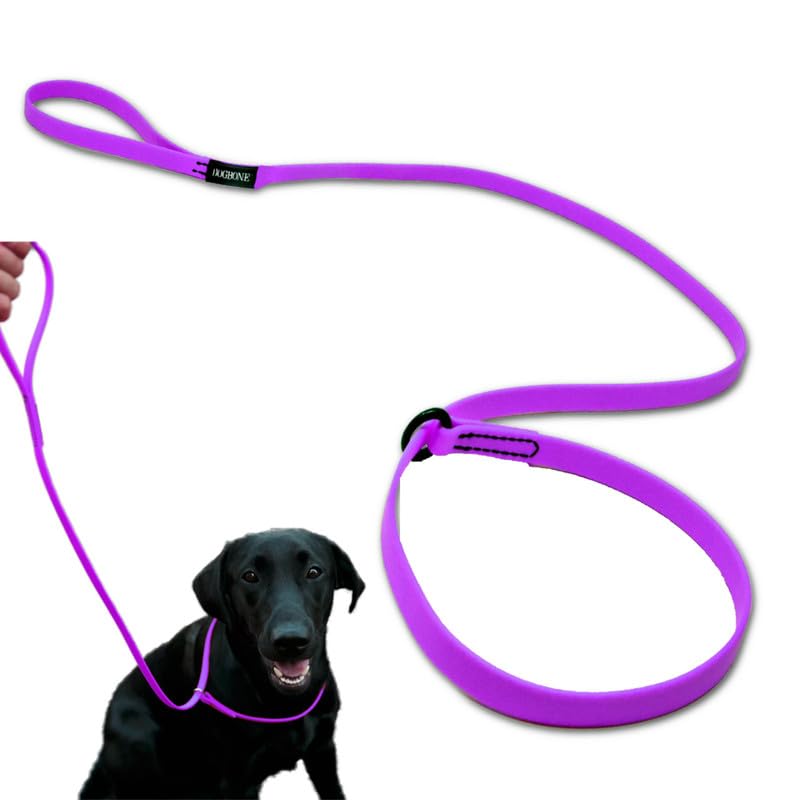 DogBone Slip Lead for Small, Medium, & Large Dogs – No Pull Lasso Style Leash & Collar for Control During Training - Waterproof & Chew Resistant