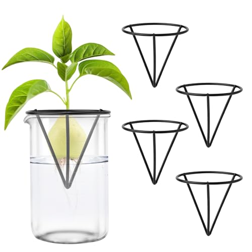 Gosknor 4pcs Démarreurs de Graines d'Avocat, Kits de Culture d'Avocatiers Triangulaires en Métal Support de Graines d'Avocat pour La Germination pour La Décoration de Table de Bureau à Domicile