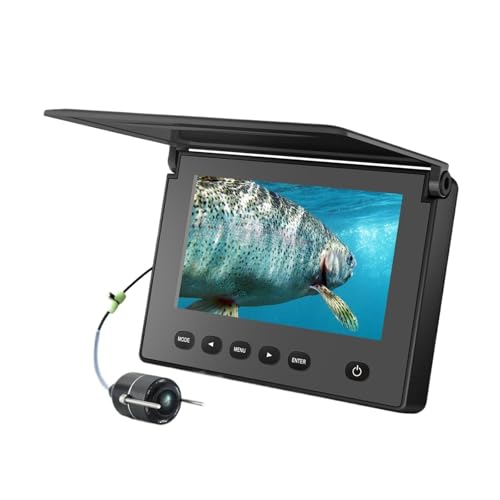 QTm@ނJ Xނ ÎJ 4.3C` LCD j^[ X|[crfIJ (FL180AR)