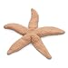 Nasco 9712121 Life/form Fish Replica Rubber Stamp, Starfish, 7" Length x 7" Width