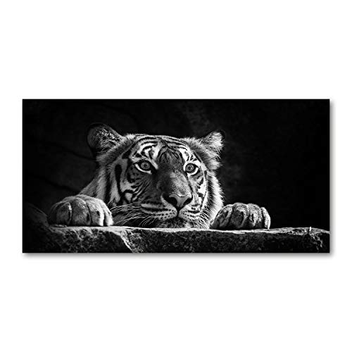 Tulup Impression sur Verre de 120x60 cm Image Tableau Photo décorative panoramique pour la Cuisine et Le Salon - Animaux - Tigre - Noir et Blanc
