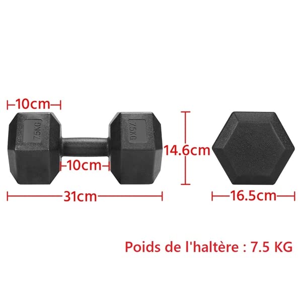 Abician Lot de 2 Haltères 7kg Haltère Musculation pour Homme et Femme Noir