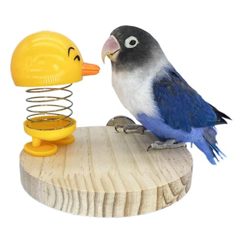 p p̊ނ SȖ؂ƃ[v Jt fe[} 4.53x3.78C` ^ɍœK