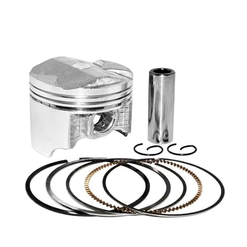 I[goCANZT[V_[{ASTD 150TCY55mm 56.50mmsXgOtLbgVFR400 VFR 21 24 30 NC30 RVF35p(1 Set 55.50mm)