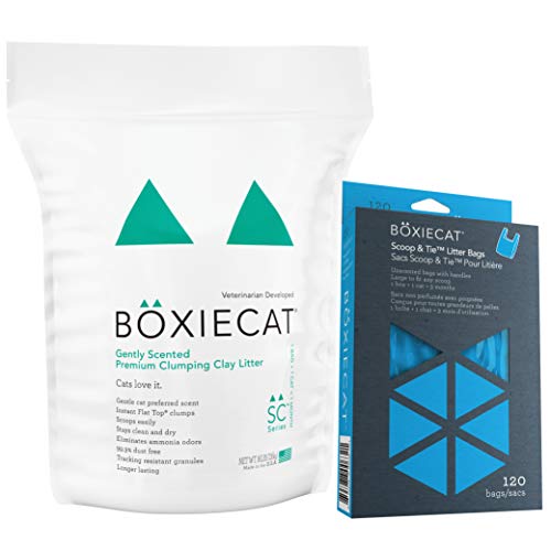 List of Top Ten Best Boxiecat Litter [Experts 2023 Reviews]