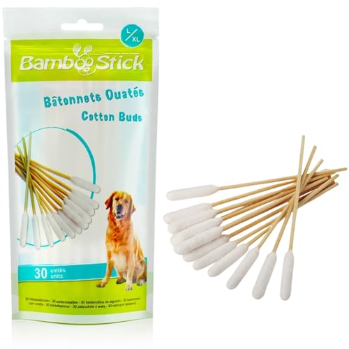 yKizBambooStick pȖ_ Ȗ_ ybgpȖ_ 傫Ȗ_ |pȖ_  Ȗ_ (L/XLTCY 30{)