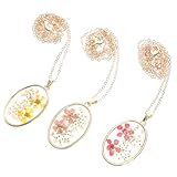 TOYANDONA 3 Stück Trockenblumen Halsketten mit Rundem Anhänger Bunte Pflanzenspezimen Umweltfreundliches Legierungsmaterial Filigrane Clavicle Chains für Damen und Mädchen Modischer Chic