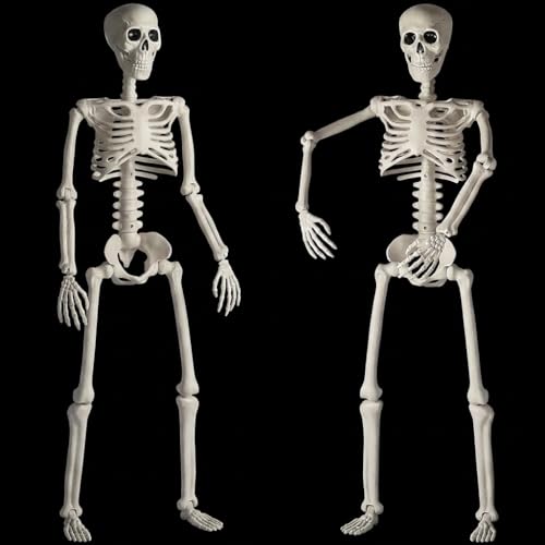 HBSTK 2 Pack 36 Halloween Skeleton Full Body Life Size Posable Skeletons with Movable Joints Realistic Plastic Human Bones Anatomy Model for Halloween Decorations Outdoor Yard Dcor