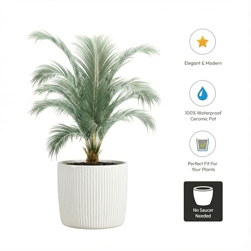 Scheurich Couvercle-Pot céramique Perla anti-fuite d'eau - 4