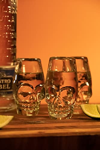 Houm Handmade Black Skull Shot Glasses - Set Of 4 | Handblown Crystal Clear Glassware For Whiskey, Tequila, And Parties #TOP7