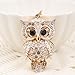 Owl Keychain,Animal Rhinestone Key Decoration for Women,Sparkling Keyring Crystal Purse Pendant,Gift to Friends (White Owl)
