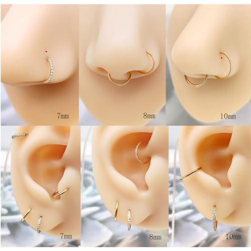 3Pcs Nose Rings Hoop 20G 18G 16G Surgical Steel Hinged Segment Rings Septum Jewelry Lip Ring Helix Conch cartilage earring for Women Girls Men 7mm 8mm 10mm4