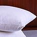 Set of 2, Cotton Fabric Two Pillow Inserts, Down and Feather Throw Pillow Insert, Decorative Pillows Inserts, Have Many Different Sizes, Please Choose The Suitable Size Pillow Inserts, 18X18 Inches