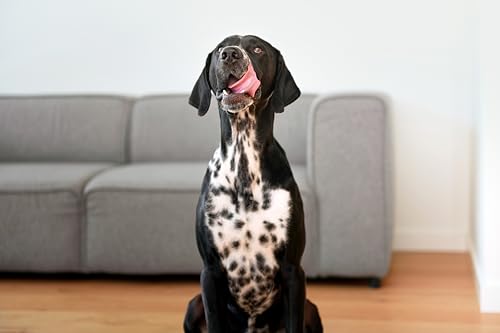 Primox Hunde-Trockenfutter 15kg | hergestellt in DE | Nährstoffreich | Ohne Zucker & andere Zusätze | Für Vitalität & Gesundheit beim Hund (Lamm & Reis)
