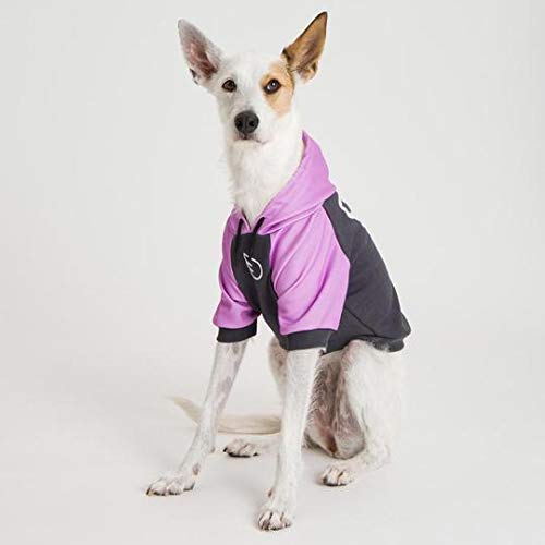 Moletom com Capuz para Cães, Dog Wings, Hoodie Wing, Lilás, P