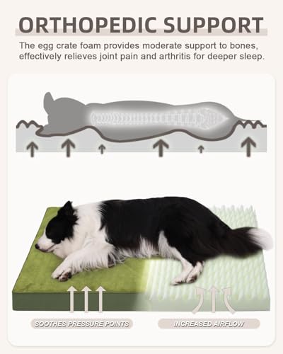 Image of KSIIA Orthopedic Dog Bed for Extra Large Dogs with Waterproof, Green, 47x29 | Deluxe Soft Plush Dog Crate Bed, Washable Pet Mat with Removable Cover & Egg Crate Foam for Extra Large Dogs Sleeping