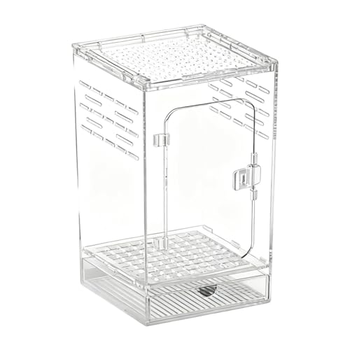 Dualoai ANXvOP[W঒ރ^NސnP[WT\p, S