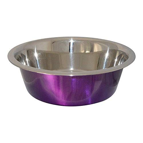 Ellie-Bo Dog or Cat Food and Water Bowls in 6 Sizes and 4 Colours (4.0Ltr XXL, Purple)