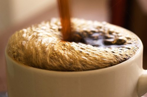 International Coffee Sampler, Blonde/Light Roast Coffee Beans (Organic Papua New Guinea Estate Coffee Beans, 1 Pound Blonde/Light Roast Coffee Beans) #TOP4