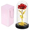 AUGOLA Valentines Day Gifts for Her Galaxy Rose, Forever Rose in Glass Dome Rainbow, Unique Love Flower Gifts for Her…