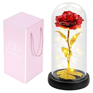 AUGOLA Valentines Day Gifts for Her Galaxy Rose, Forever Rose in Glass Dome Rainbow, Unique Love Flower Gifts for Her…