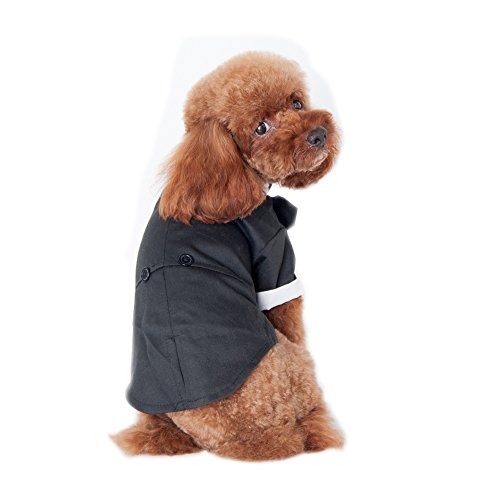 Keysui Welpe Haustier Hund Fliege Smoking Hochzeit Katze Kostume Mantel M