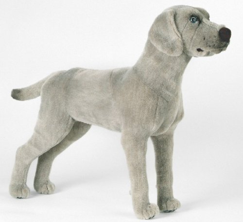80~90年代 フランスAnima社製 大きめ40cmサイズ 犬のぬいぐるみ ドッグぬいぐるみ/エアデールテリア | アフタヌーンティー公式