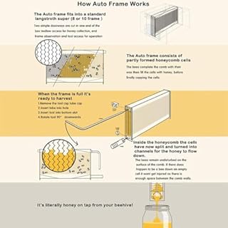 Flow Hive Beehive, Automatic Honey Bee Hive House with 7Pcs Auto Circulation Comb Beehive Frames Kit, Beekeeping Brood Box Raw Bee House Honey Collection for Beekeepers