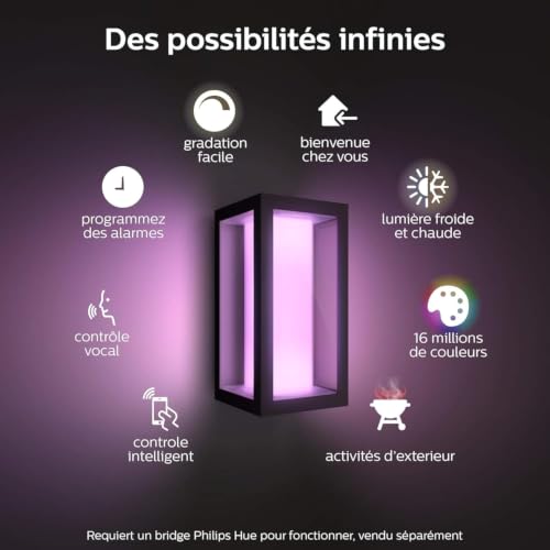 Applique murale extérieur Philips Hue connecté Alexa Google Assistant et Apple Homekit noir