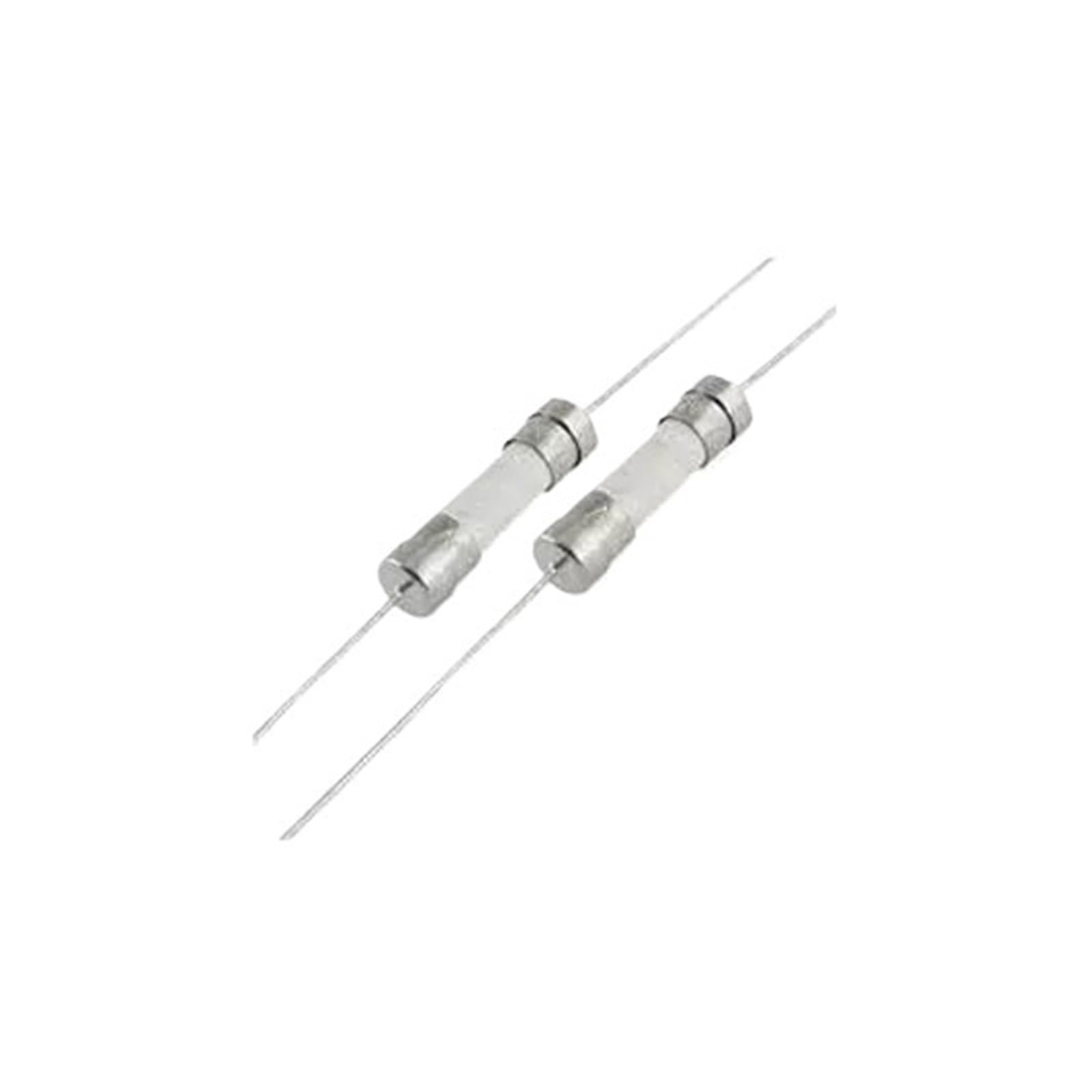 KXIWLUFV 5PCS axial Ceramic Fuse F4A H250V