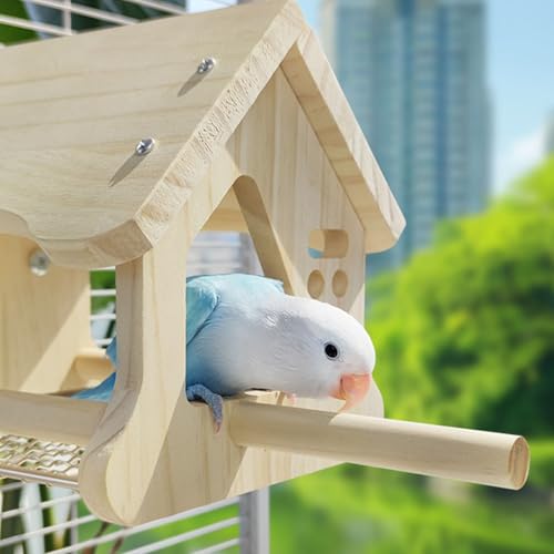 Griffoir multifonction perroquets jouet conure cage oiseaux - 7