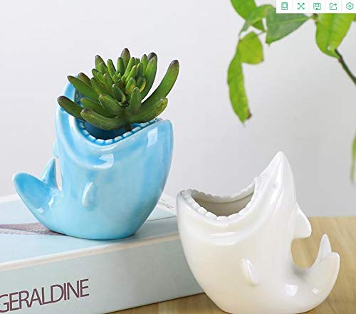 Composizione Piante Grasse Vaso Venezia Ovale H27 cm - i Giardini di Giulia